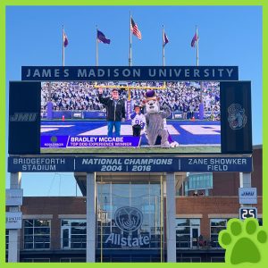 RBI's Top Dog Winner with the JMU mascot on JMU's football field shown on a stadium screen.