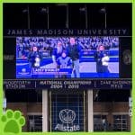 RBI Top Dog, Lacey, on the big screen at the JMU field