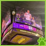 JMU Basketball Top Dog - Photo 2